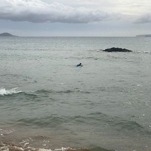 Meet your Posher, Kaylani